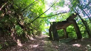 A 41-year-old Japanese person goes to heal in nature.