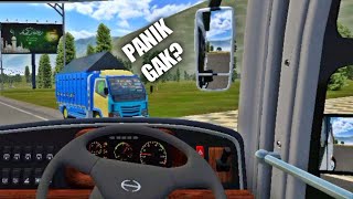 Download lagu Ngapain panik gua jago anj*** :v mp3