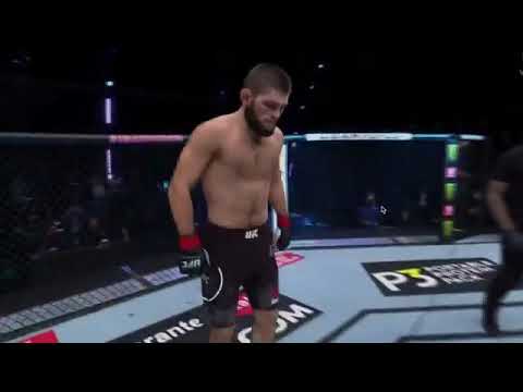 Khabib ufc