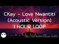 CKay - Love Nwantiti (Acoustic) [1 HOUR LOOP]