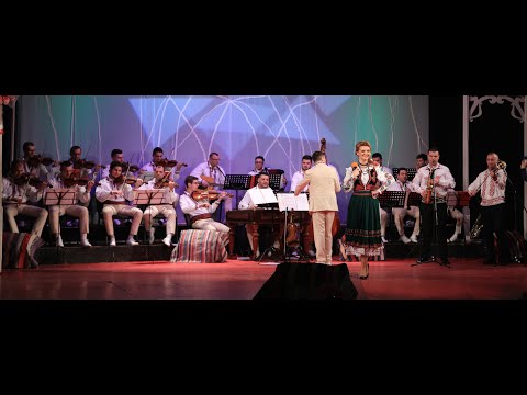 Simona Costin si Orchestra Lautarii din Ardeal - Frunza verde si una (Live 2016)