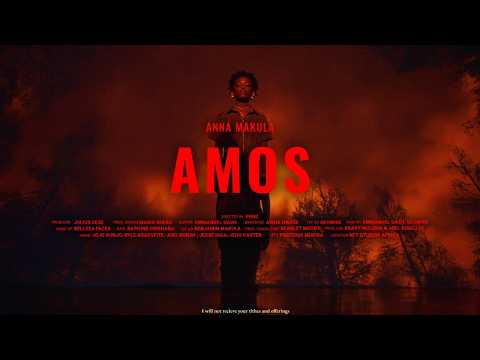 AMOS - Anna Makula (Visualiser)