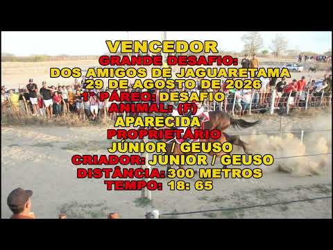 Desafio  Jaguaretama Ceará  29 de  Agosto de 2026