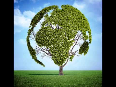 Amor Por Natureza video