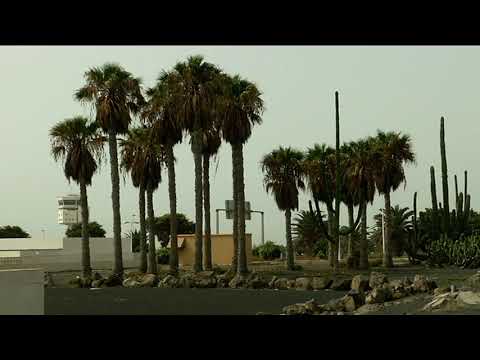 Dejadez y abandono en los jardines exteriores del aeropuerto César Manrique de Lanzarote