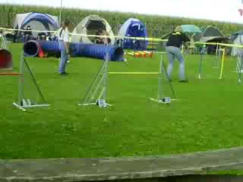 Jumping - 14.9.2008 - Troisdorf - Nina & Sandy