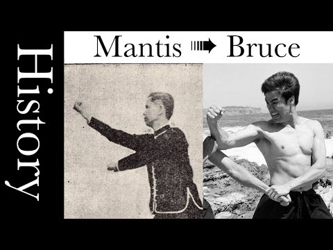 崩捶 Part 1: History [Praying Mantis Kung Fu 螳螂拳]