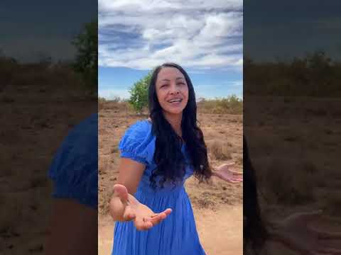 Michelle Soares Alcântara