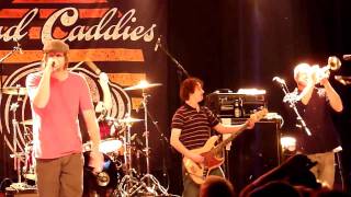 Silence [HD], by Mad Caddies (@ Melkweg, 2010 - 2/20)