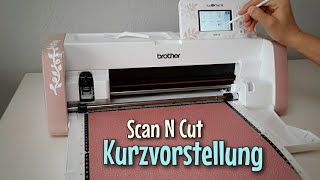 Mein Plotter - Brother Scan N Cut DX - Vorstellung - Nähtinchen