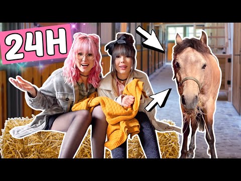 24 Stunden im Pferdestall MIT Pferd 😳 1 Tag in Box | ViktoriaSarina