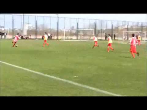 Stefan Mitrovic 15.08.2002  Goal highlights summer of 2014