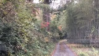 車上生活者は、こんな道を走ってるぞwww