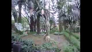 LOLONG Ebiet G Ade, editor; maymintaraga