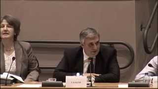 Ivailo Kalfin on EU budget own resources reform