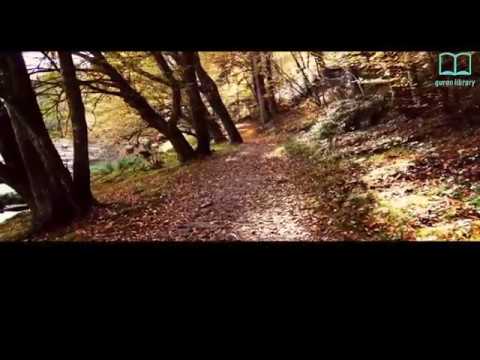 سورة الجن - ياسر الدوسري - مترجم | Surah Al Jinn - Yasser Aldosari - English subtitles