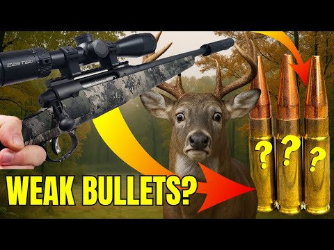 300 Blackout - Will It Hunt? [Bullet Drop, Scope Dials, Energy and MORE]