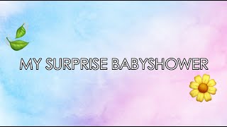 MY SURPRISE BABYSHOWER | Huisje, Boompje, Baby! | Episode 4