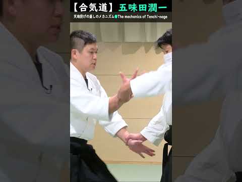 五味田潤一:天地投げの崩しのメカニズム【解説】#short #aikido #aikidotechniques #aikidoaikikai #aikidolife #legend  #budo