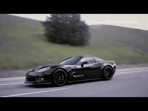 SNBRN x Shaun Frank x Dr.Fresch - The New Order (Original Mix)