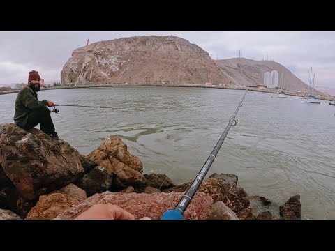 "Fishing under the imposing Morro de Arica! 🐟 Scorpion Island, in front of the Yacht Club 😱"