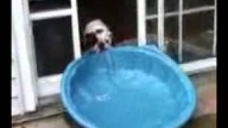 Trying to get a pool inside the house