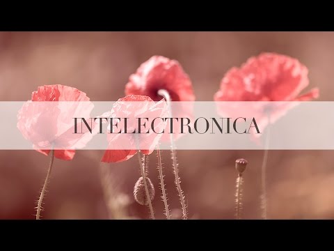 Finnebassen — Babies (Original Mix)