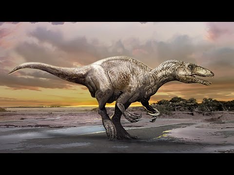Murusraptor barrosaensis - new megaraptorid dinosaur
