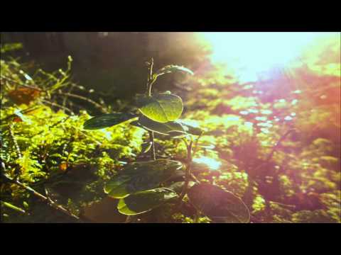 Miniman - Sunshiny Dub Feat Earl 16