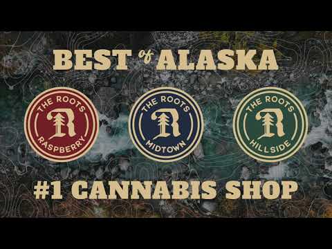 Introducing The Roots Collective