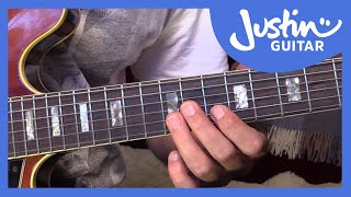 Blues Lick: B.B King Style Lick and BB Box Lesson (Guitar Lesson BL-506)