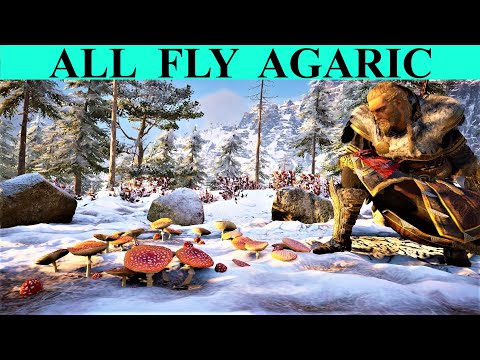 Assassin's Creed Valhalla: Fly Agaric All Locations