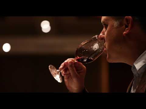 Matter of Taste New York City 2017