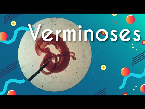 Verminoses: doenças causadas por vermes - Brasil Escola
