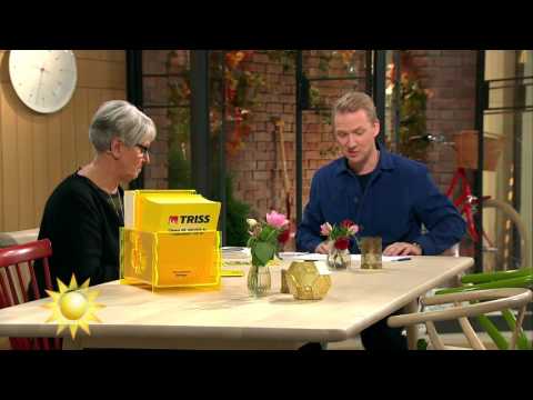 Trissvinnaren: "Det gick ju jättebra det här!" - Nyhetsmorgon (TV4)