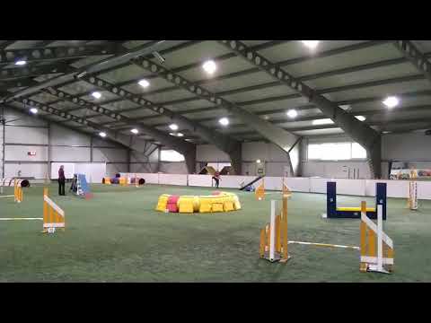 Muisku, M2, aksa, 25.5.2019 Ojanko. Kristina Sotarn Myrefelt.