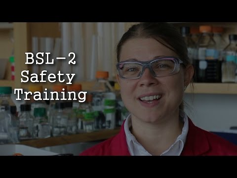 實驗室安全培訓（BSL-2） (Lab Safety Training (BSL-2))