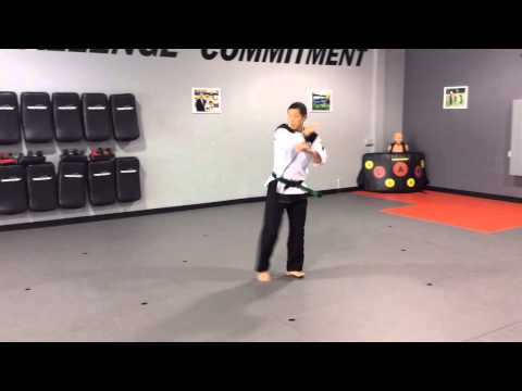 Chon Ji In Sam Chang - Red Stripe Kyuki-Do Form