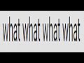 Google Translate Gets Very Confused React With My Best Friend Owo