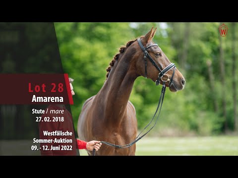 Sommer-Auktion Lot 28 Amarena Stute v. Asgard's Ibiza - Feedback