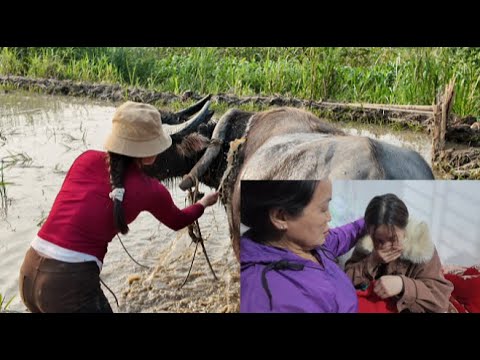 Duyen plows the fields. Duyen cries because she misses little Hung.