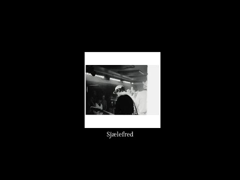 Sjælefred - Martin Zeppelin