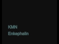 Enkephalin - Kill Me Now 