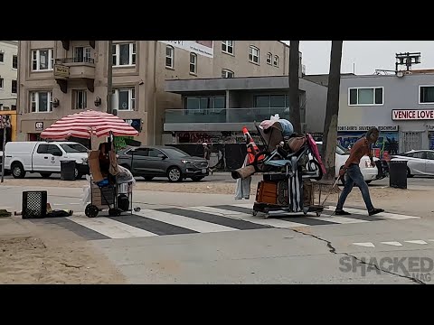 Weekly Venice Bathrooms Homeless Clean Up w/ Daisy the Venice Healer