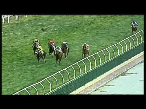 Galoppo 04/02/2020 - 6ª corsa