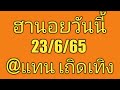 หวย ฮานอย วัน นี้ ออก ตัว ไหน ล่าสุด