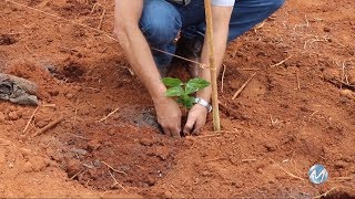 Miniatura do vídeo