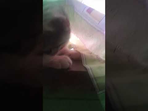 7 de septiembre de 2025