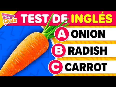 Test de Inglés 🤓👀 Nivel Fácil 🇺🇸 | ¿Cúanto sabes de inglés? | PlayQuiz Trivia