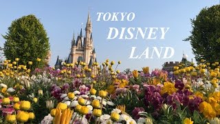 PASSEANDO COM A DEH | TOKYO DISNEYLAND JAPÃO